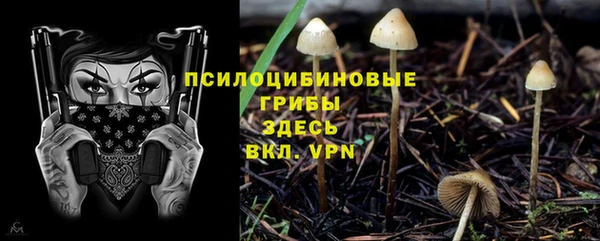 гашиш Касимов