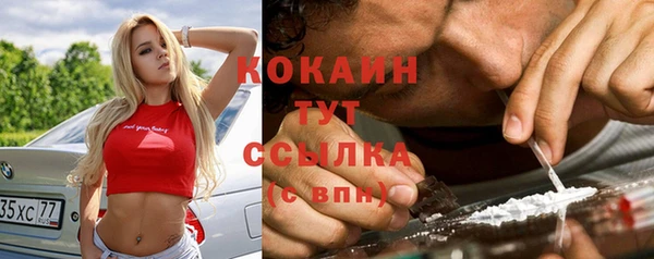 твердый Карпинск