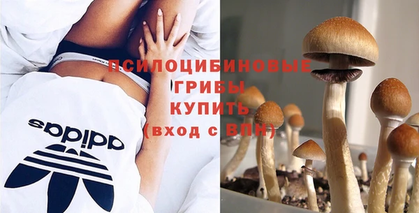 гашиш Касимов