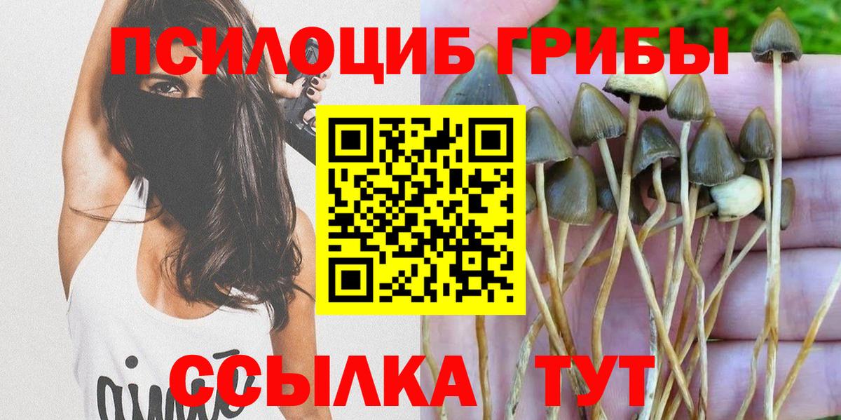 Галлюциногенные грибы MAGIC MUSHROOMS Воронеж